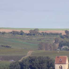 Champagne Frédéric Ragaut